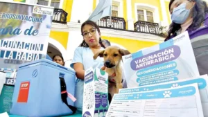Salud anuncia vacunación contra la rabia para el 29 y 30 de noviembre
